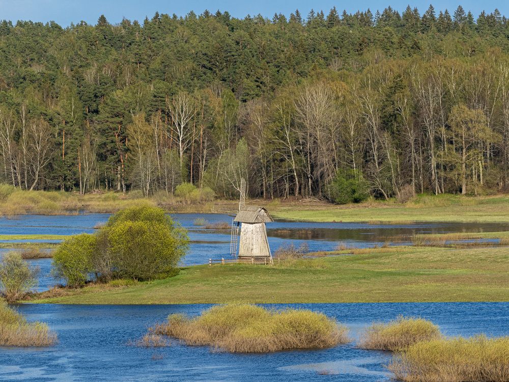 Photograph by Михаил