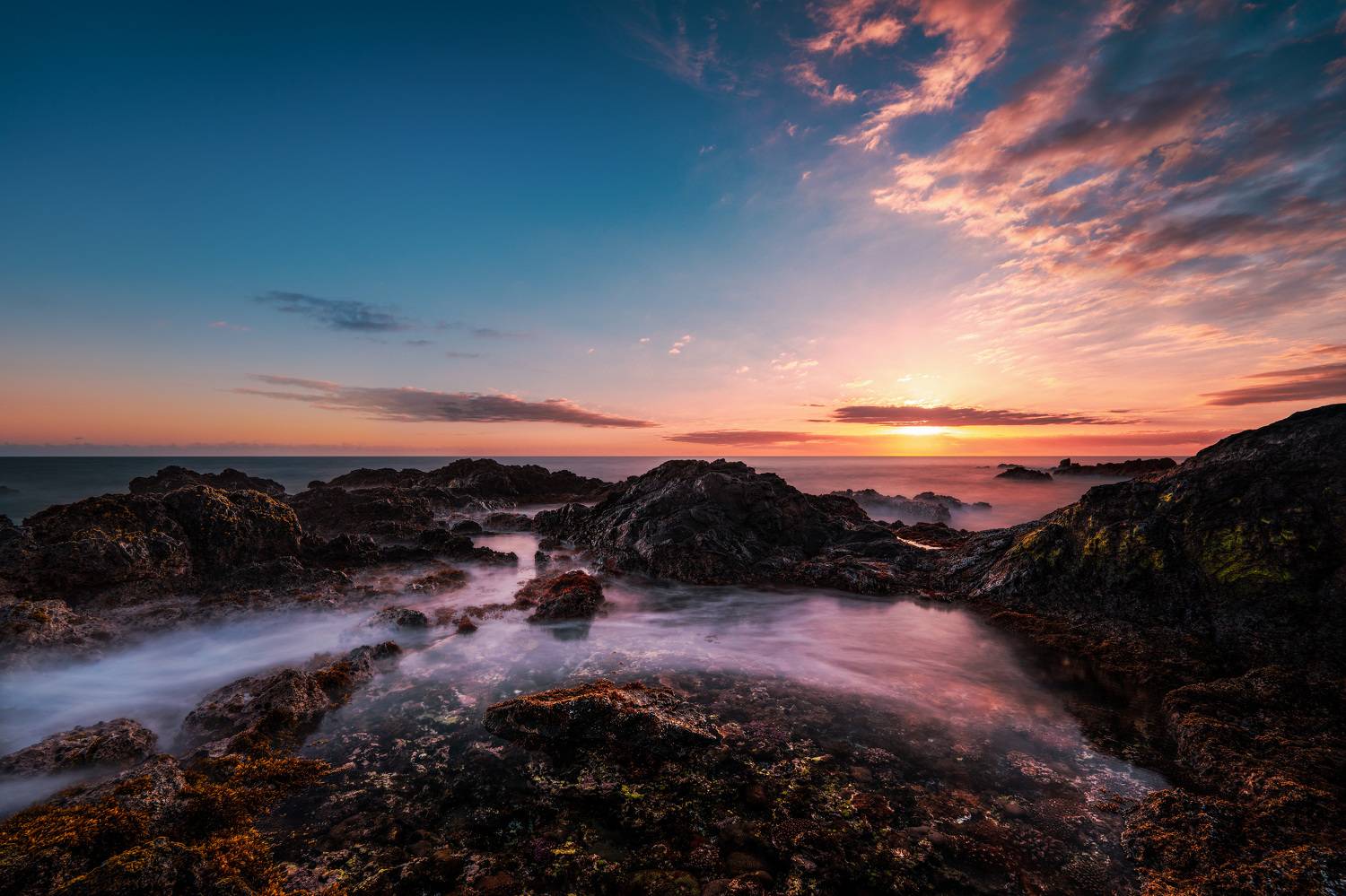 Фотография #11024707