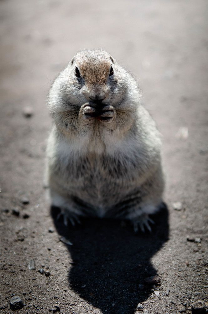 Photograph by Ангелина Ларина