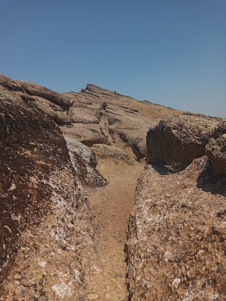 Photo #11024876