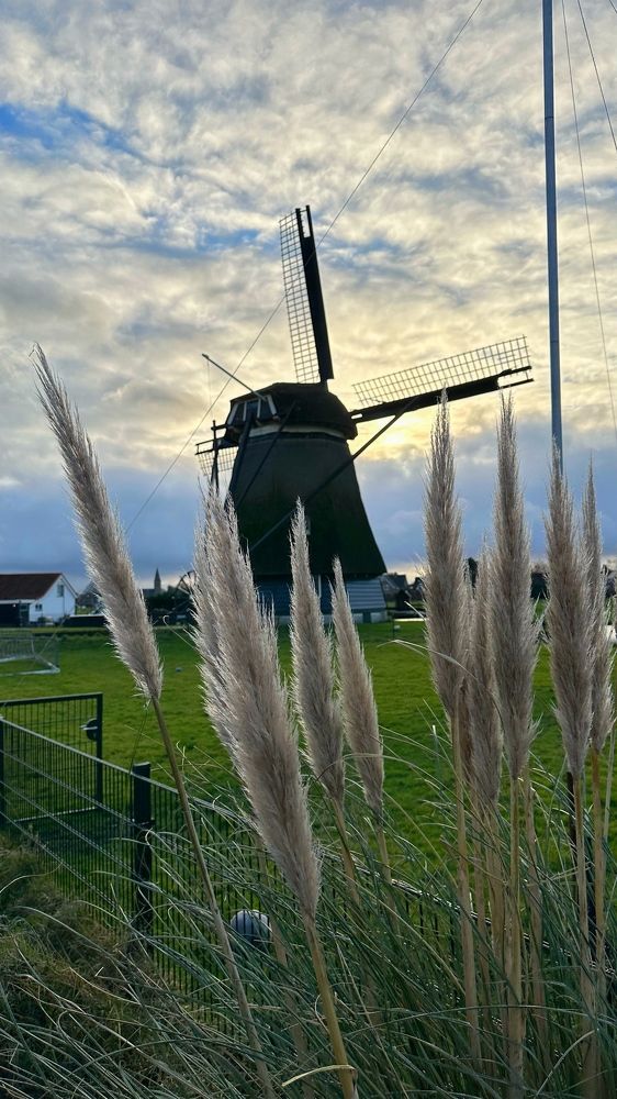 Photograph by Лидия