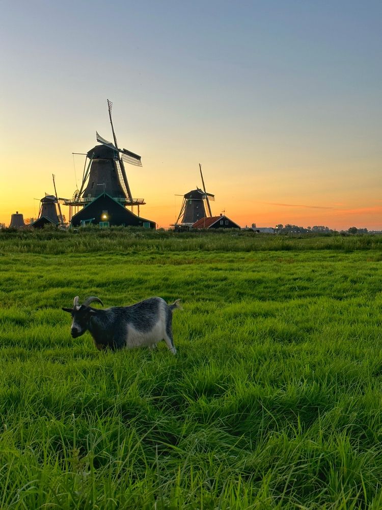 Photograph by Лидия