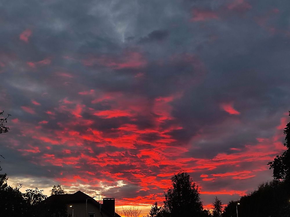 Фотография автора Мария Филиппова