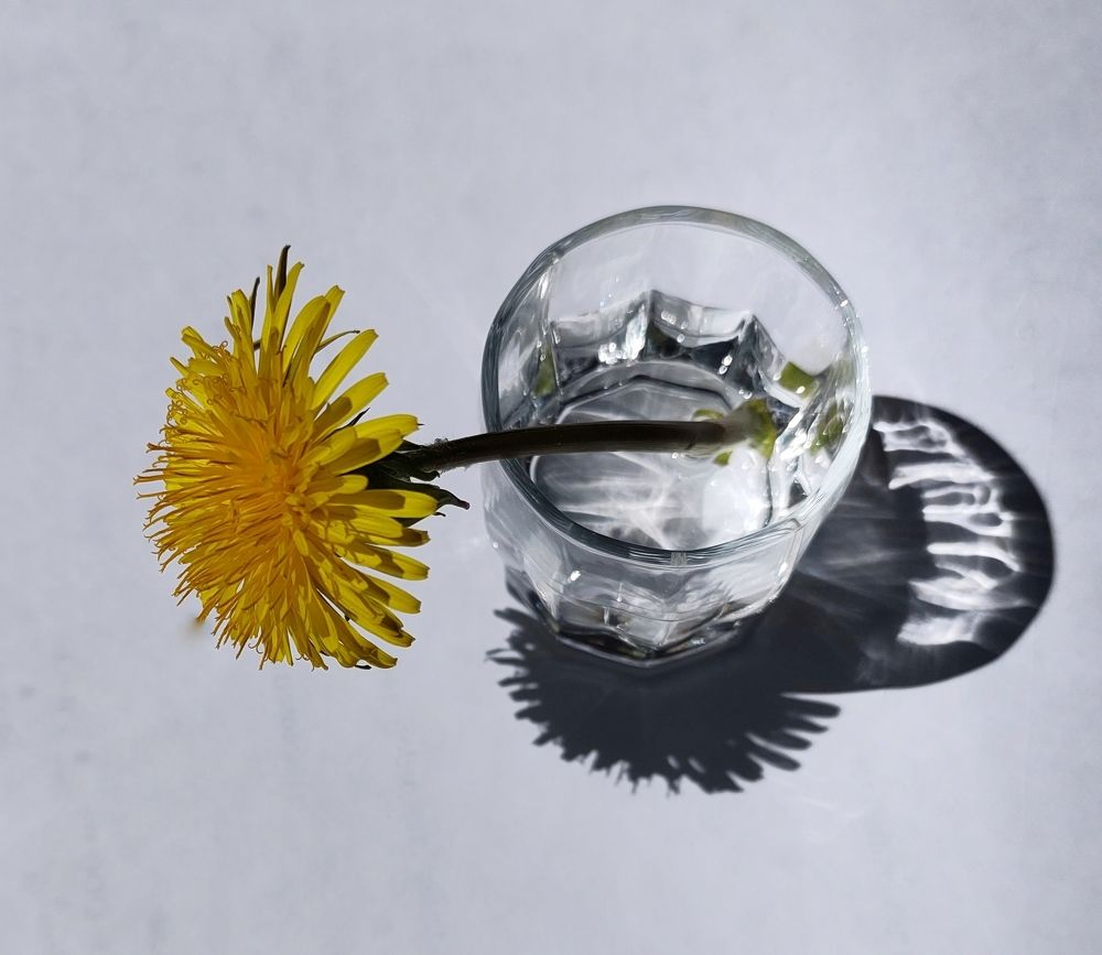 Photograph by Оксана Лоншакова