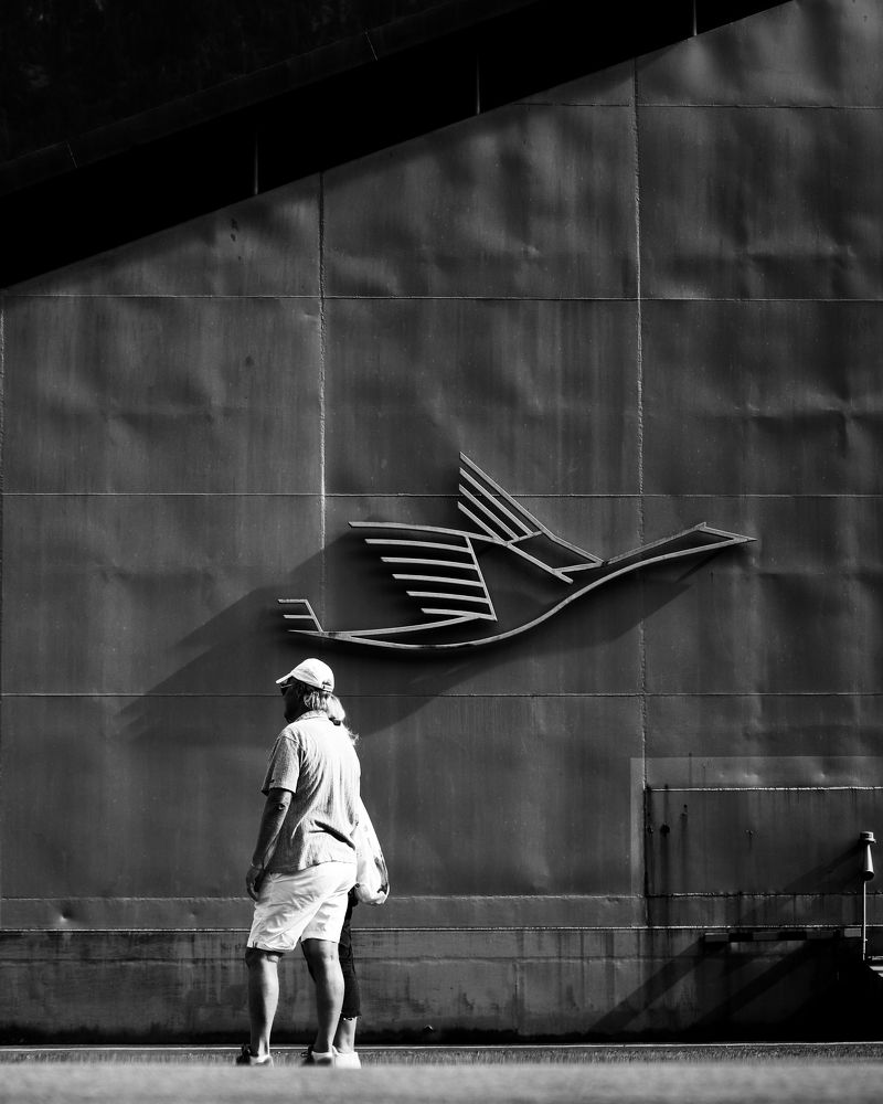 Photograph by Alessandro Moser