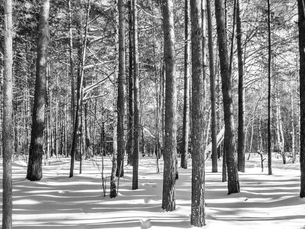 Photograph by Игорь Тюменцев