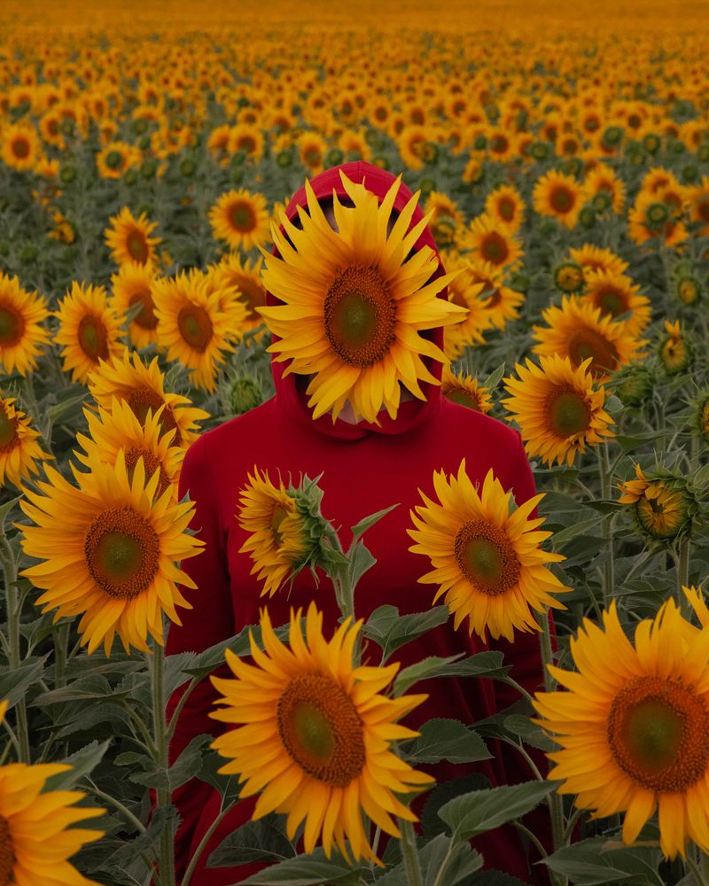 Photograph by Ольга Бурмистрова