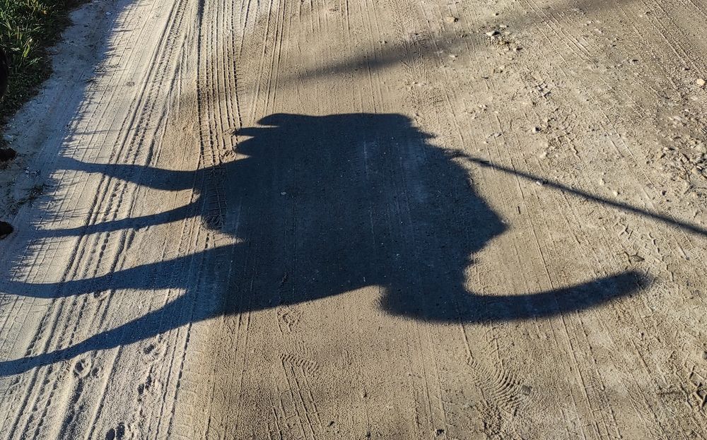 Теневая сторона собаки