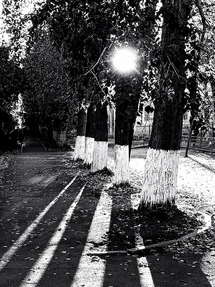 Photograph by Дмитрий Петренко