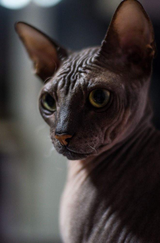 Photograph by Светлана Терехова