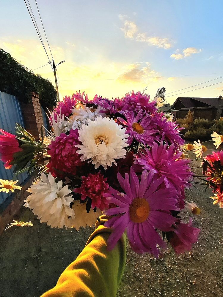 Photograph by Евгения Митюшкина