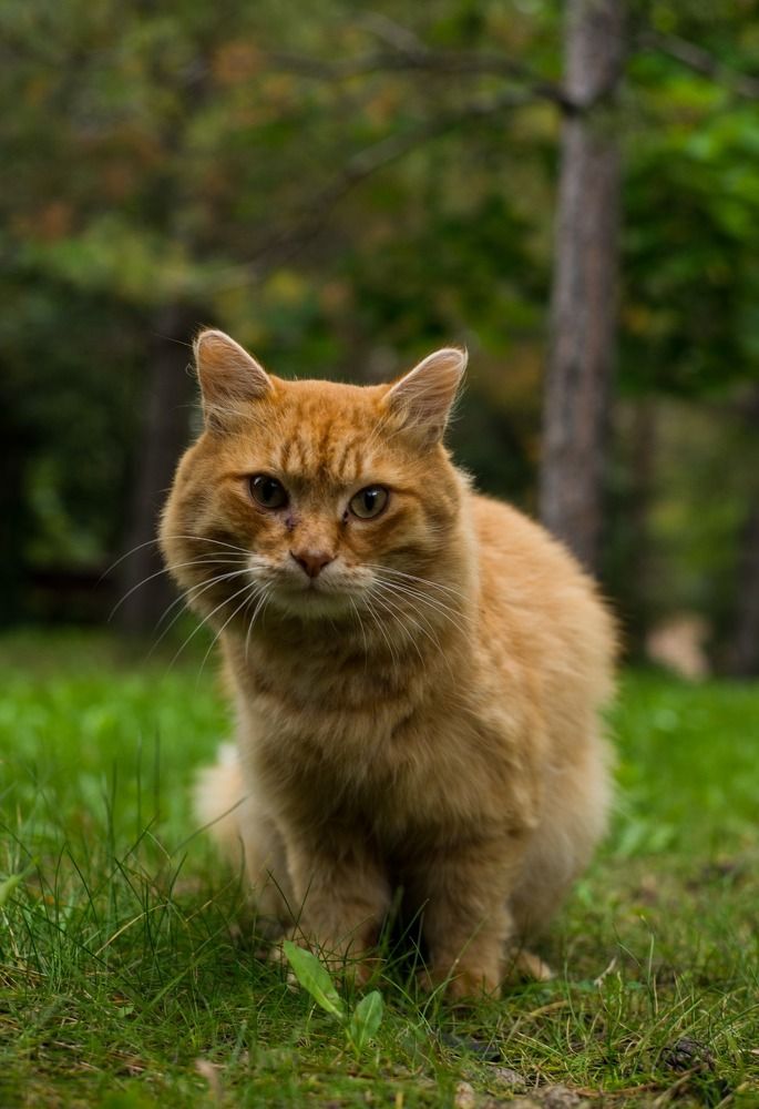 Photograph by Светлана Терехова