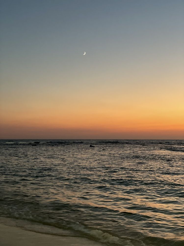 Photograph by Наталья Мутова