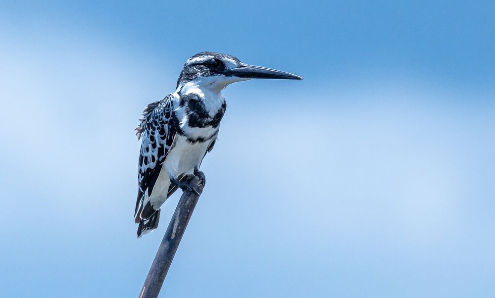 Photograph by james wasswa