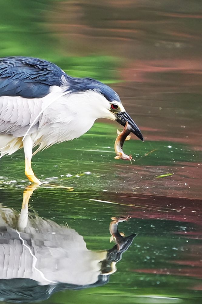 Фотография автора Jian Ma