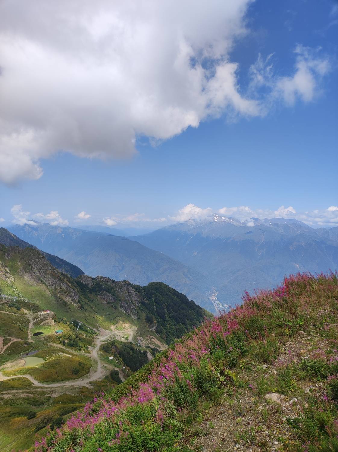Photo #11025441