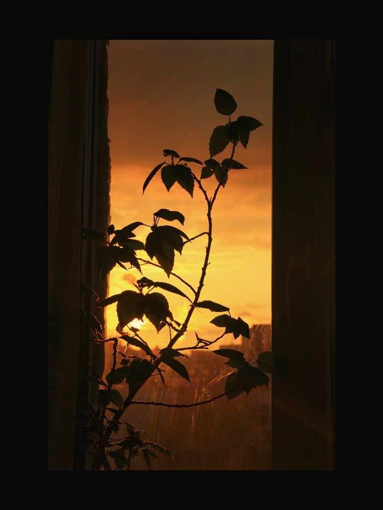 Photograph by Янтарная Елена