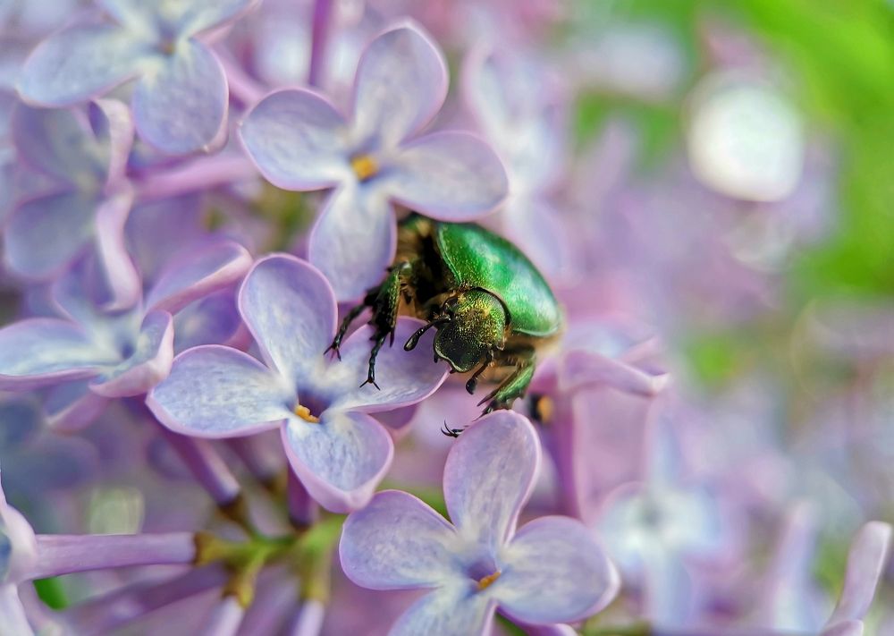 Photograph by Игорь Носков (Домненко)