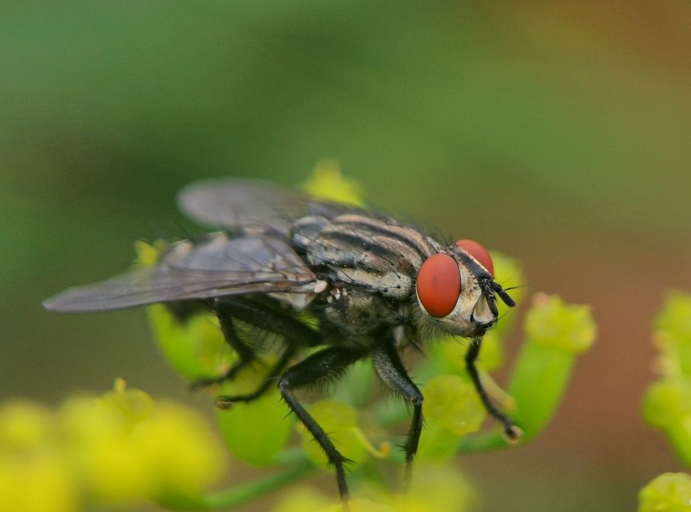 Photograph by Игорь Носков (Домненко)