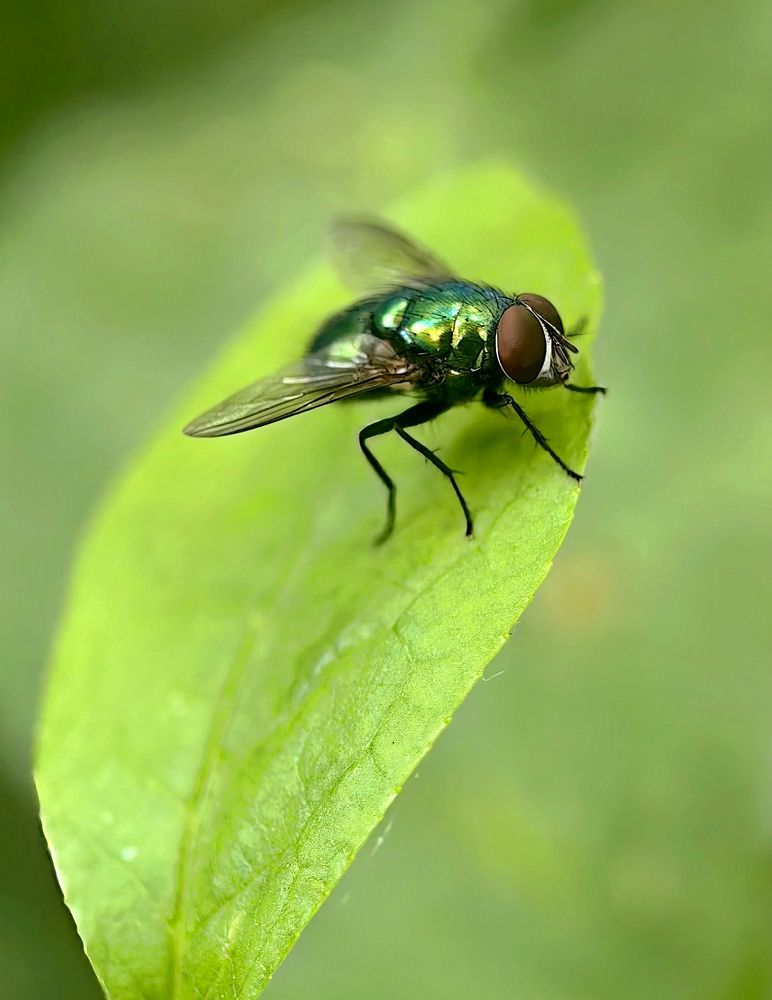 Photograph by Игорь Носков (Домненко)