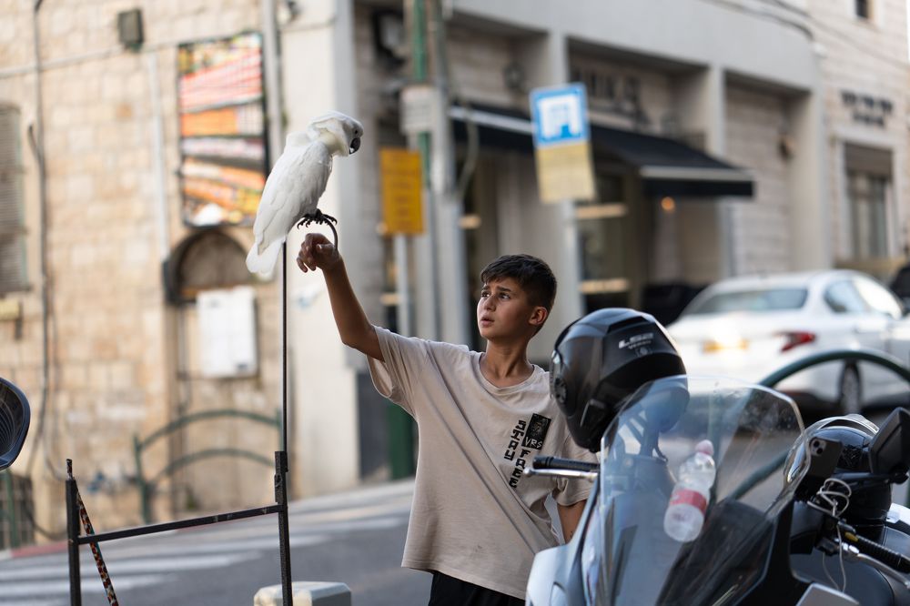 Photograph by Igor Shulkin