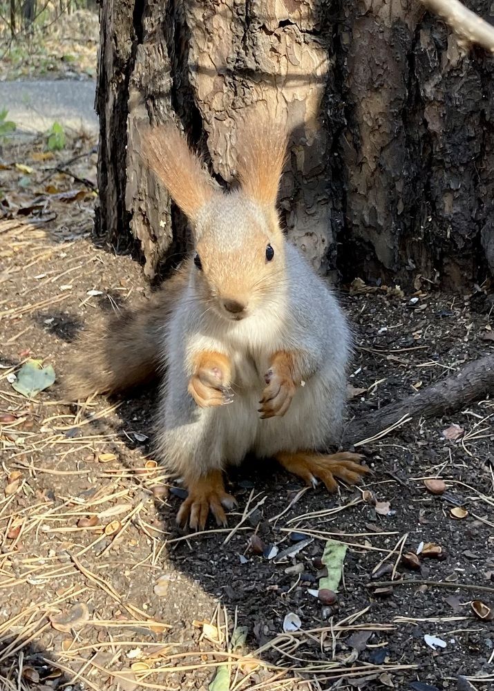 Photograph by Инна Шикуева