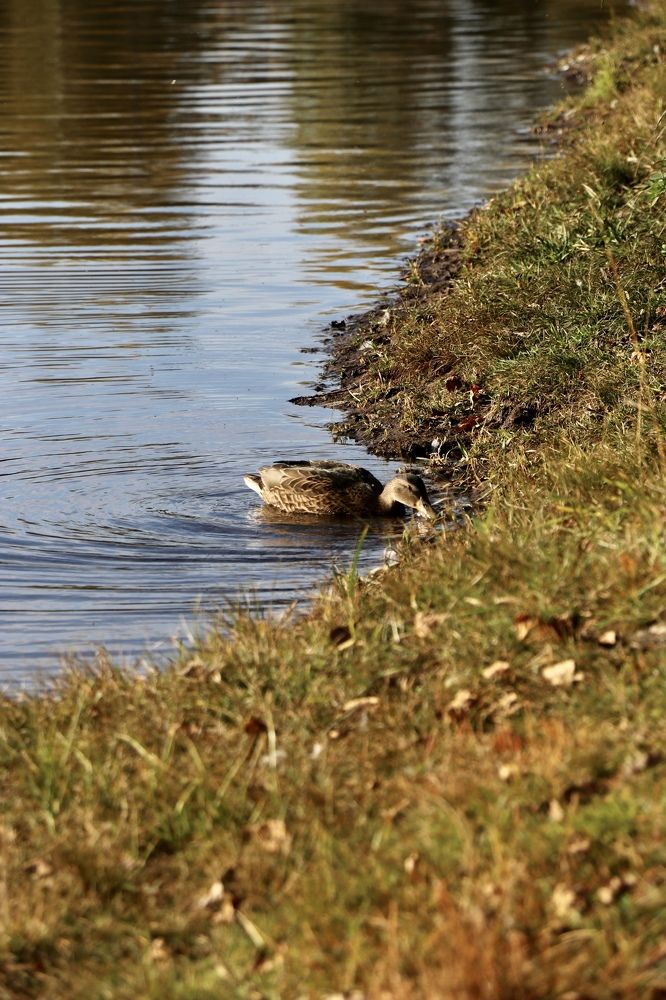 Photograph by Инна Шикуева