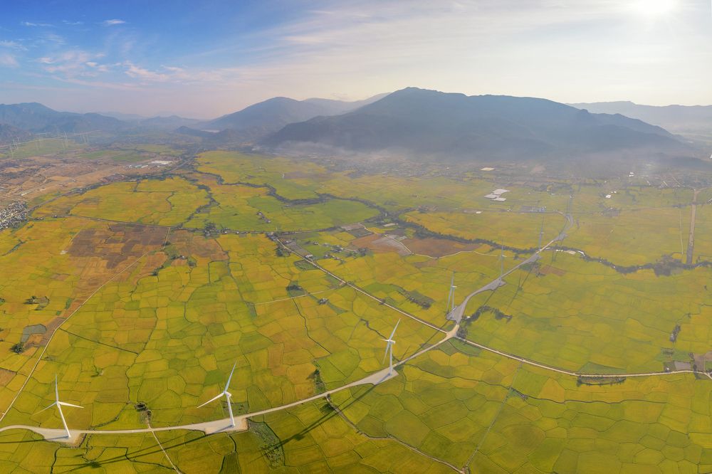 Фотография автора Nghĩa Trịnh