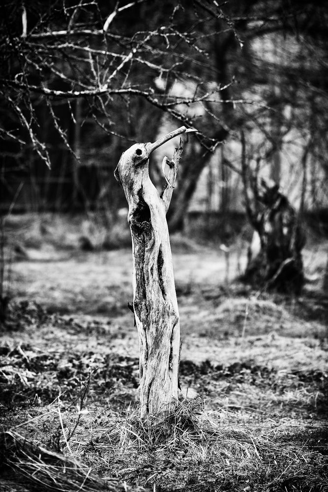 Фотография автора Антон Михайлов