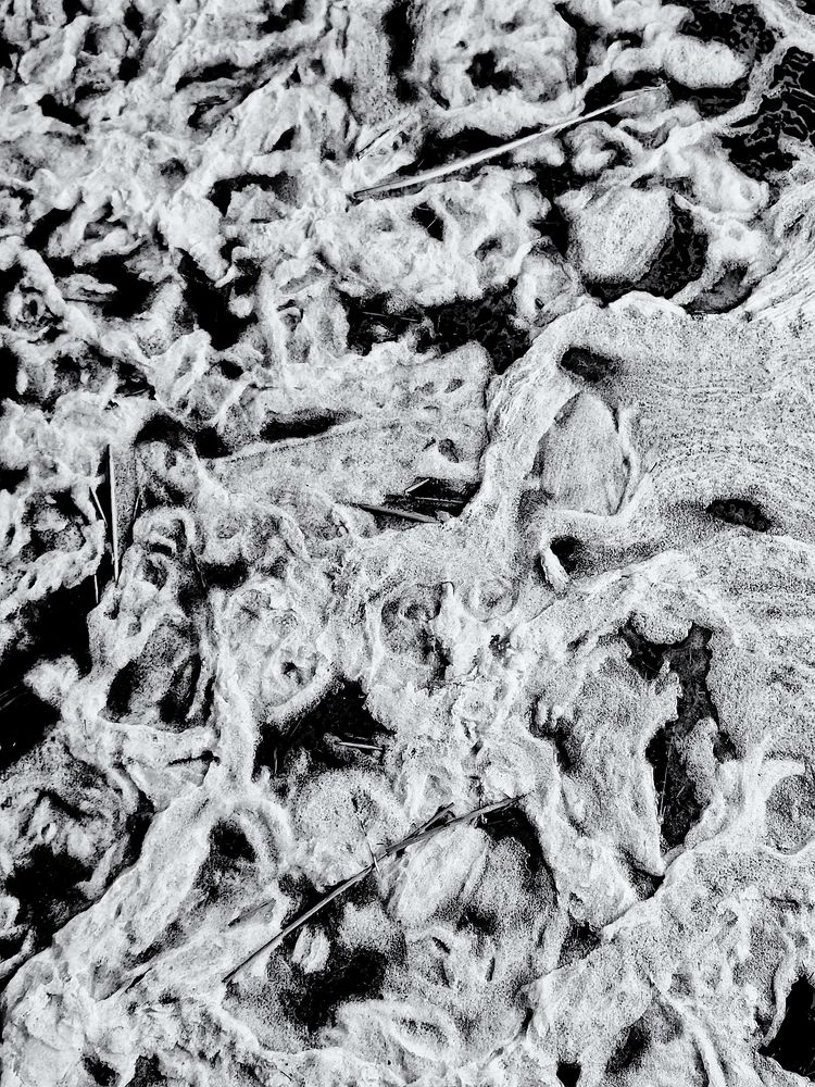 Фотография автора Антон Михайлов