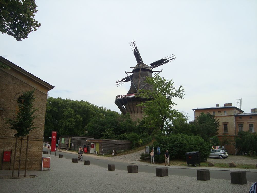 Photo #11025717