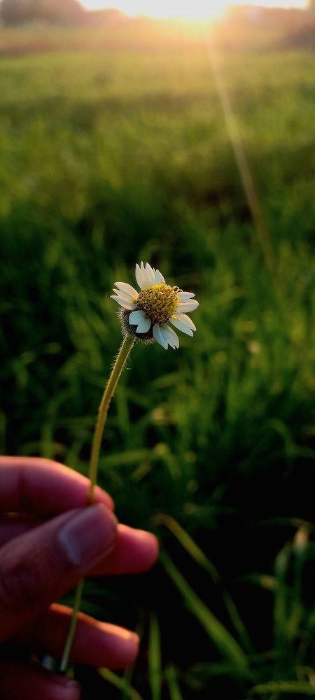 Photo #11025738