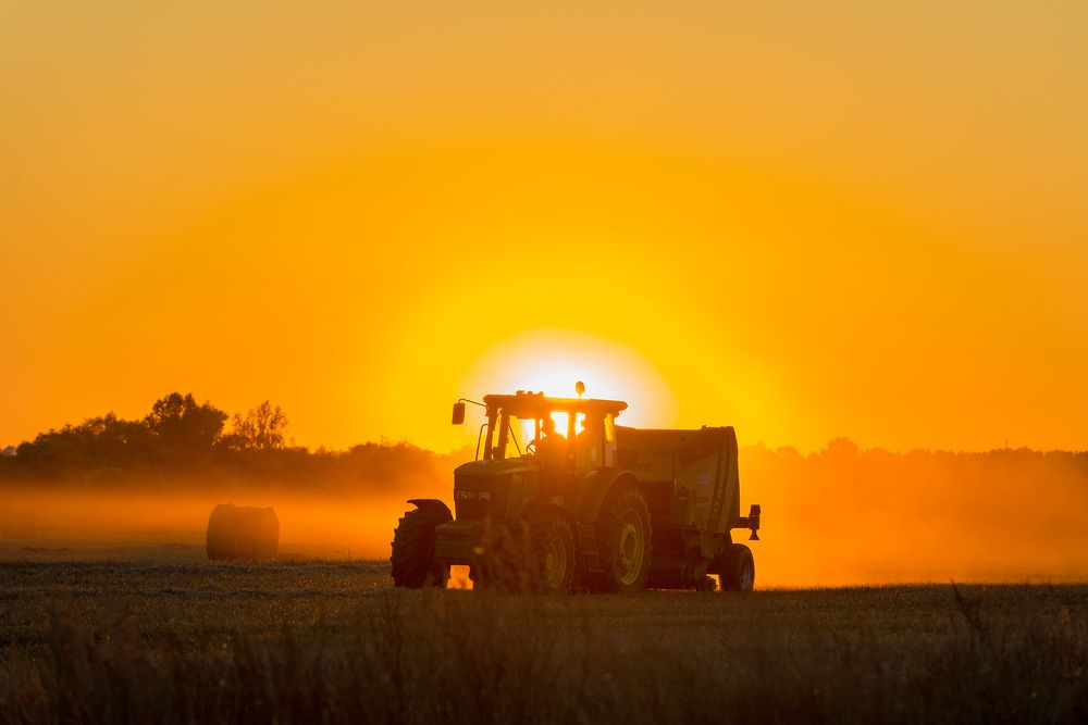 Photograph by Владислав Никишин
