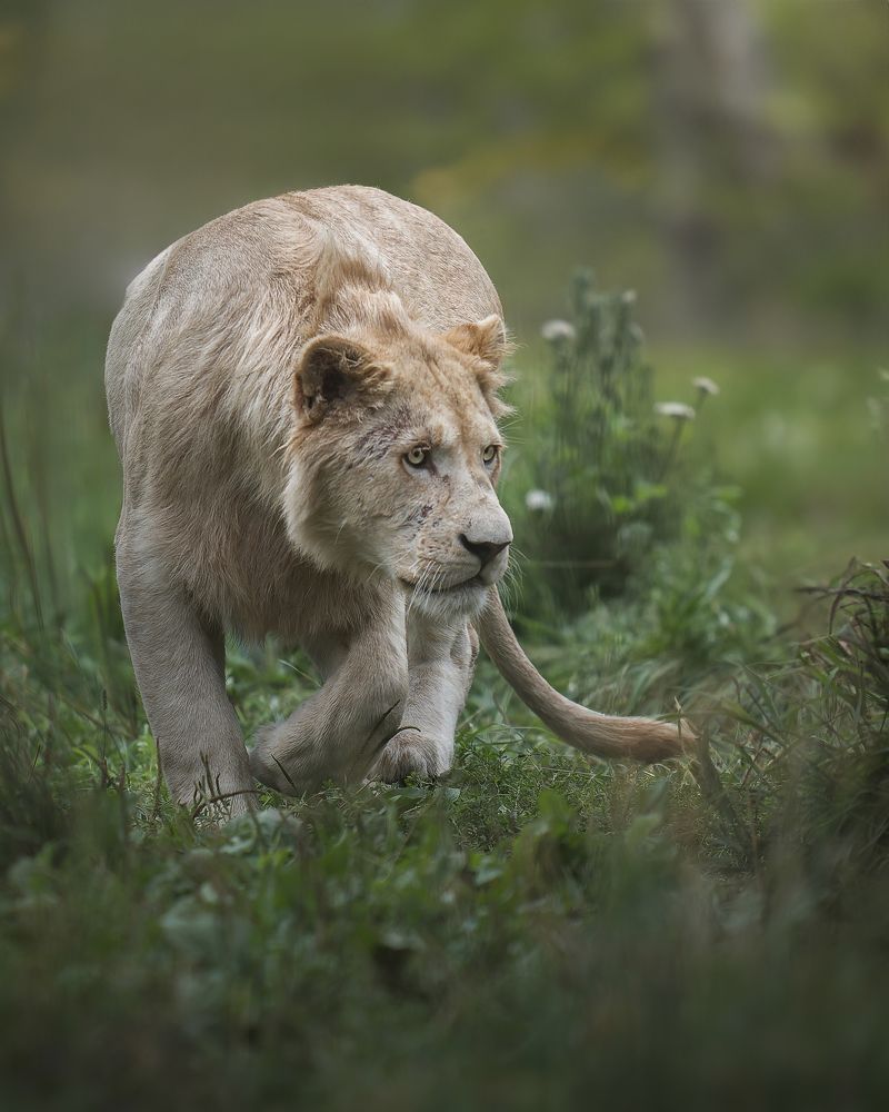 Photograph by Данил Шауба