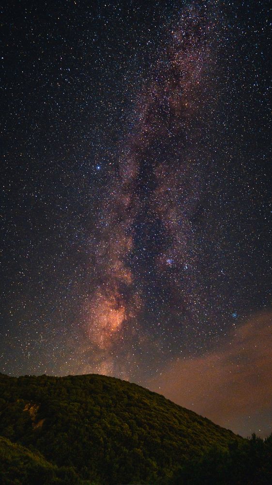 Photograph by Farshad Yazdankhah