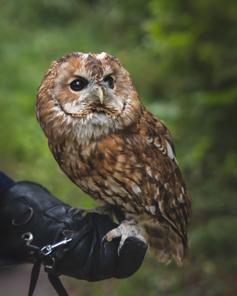 Photograph by Данил Шауба