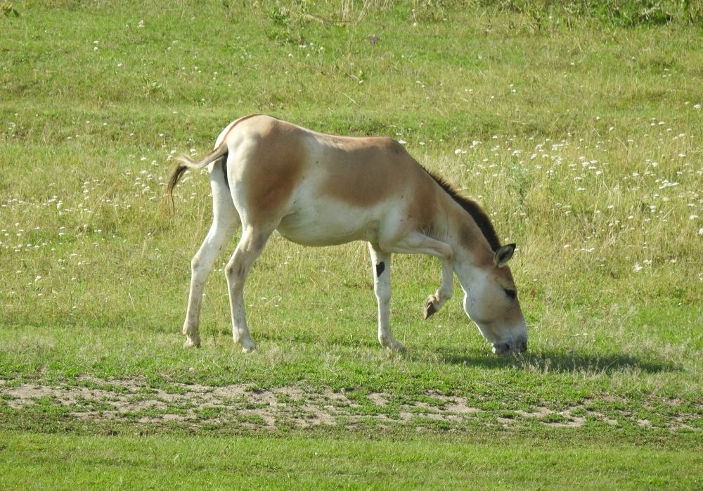 Photograph by Игорь Носков (Домненко)