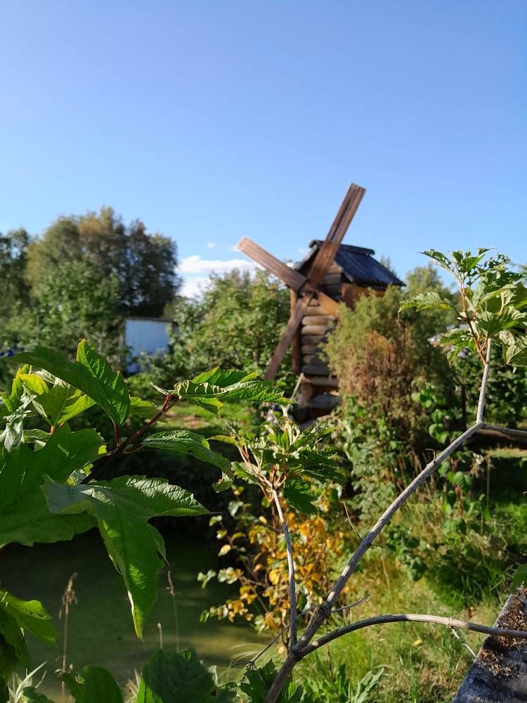 Photograph by Виталий