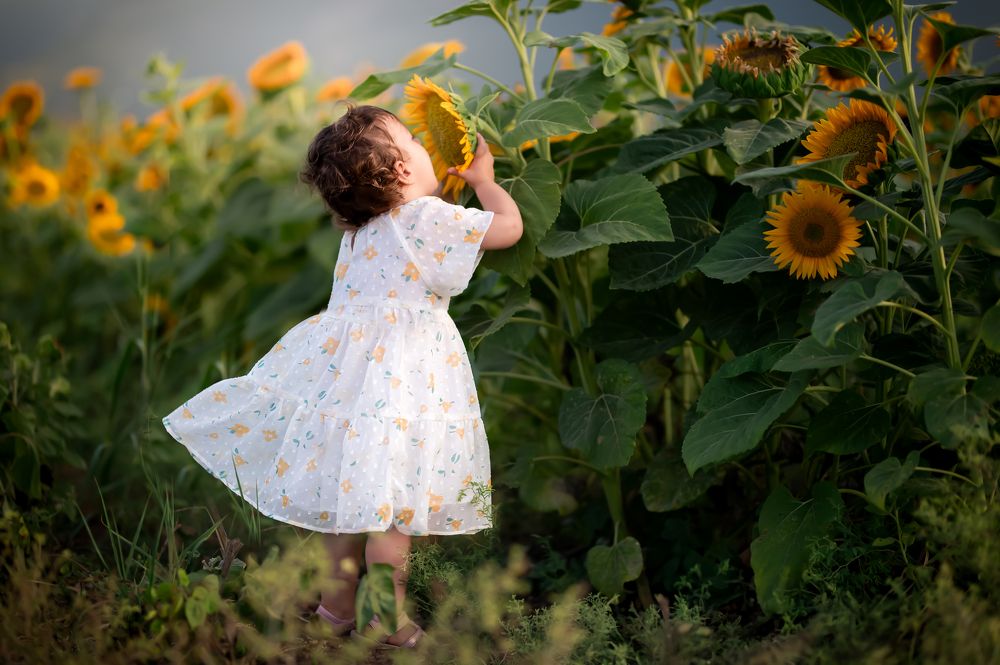 Photograph by Yahav Shafir