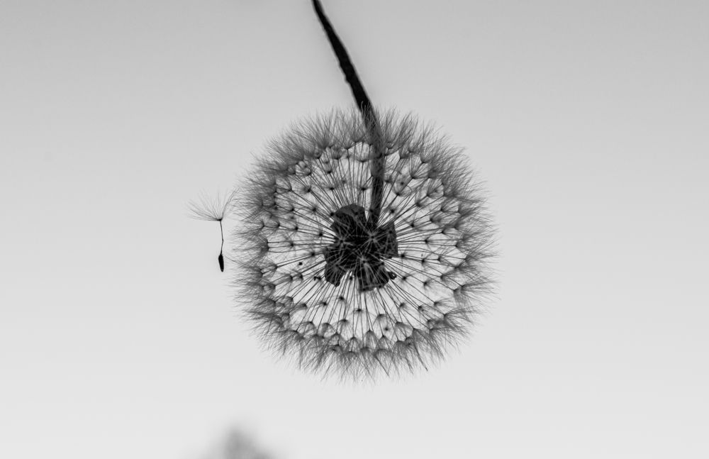 Photograph by Олег Алексеев