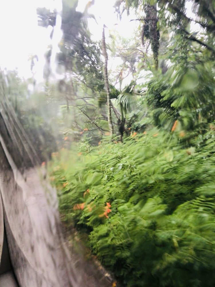 Photograph by Лариса