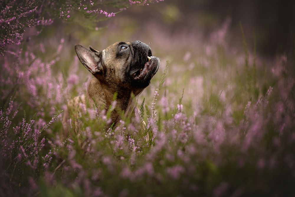 Photograph by Елена Самусенкова