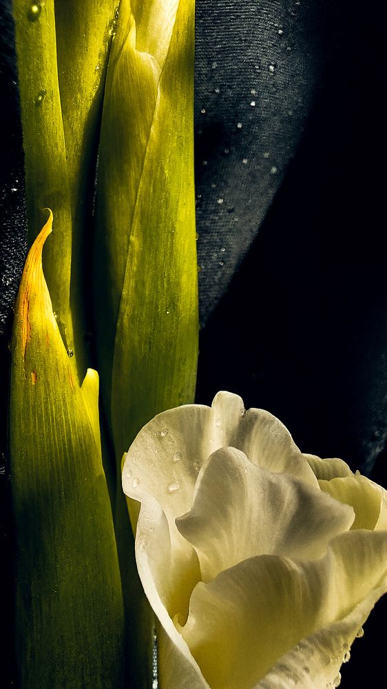 Photograph by Татьяна Олефиренко