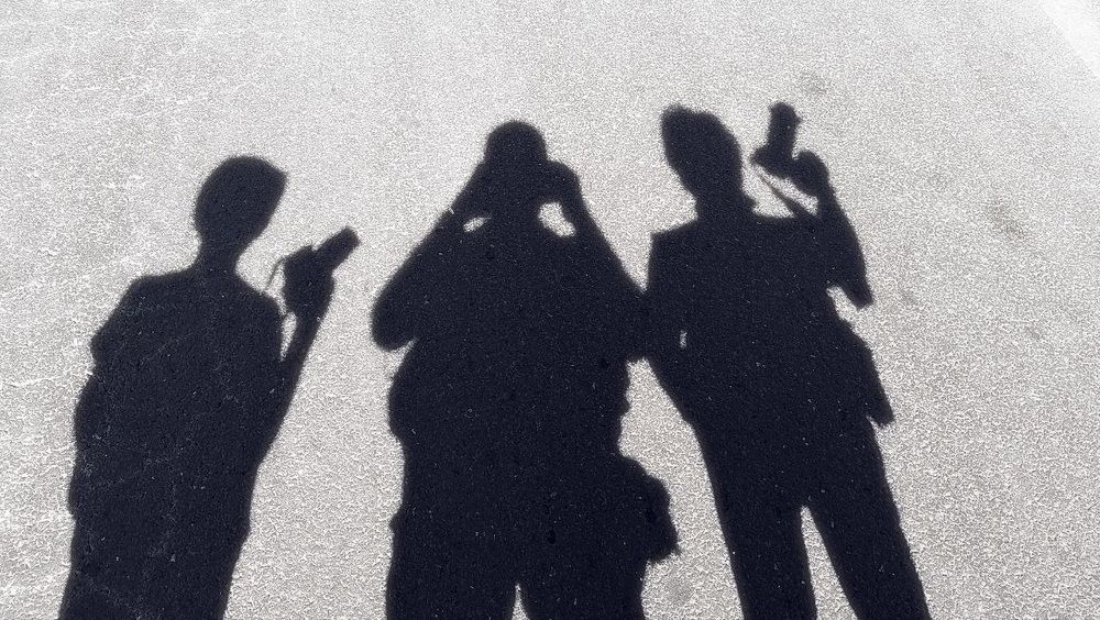 Photograph by DAMOUN POURNEMATI