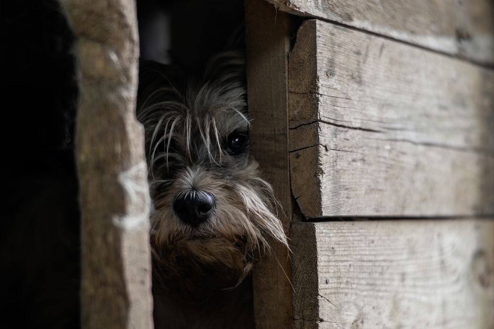 Photograph by Кулаков Юрий