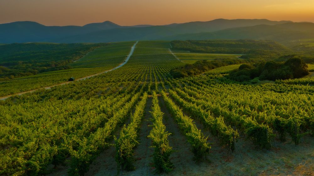 Photograph by Станислав Бубнов