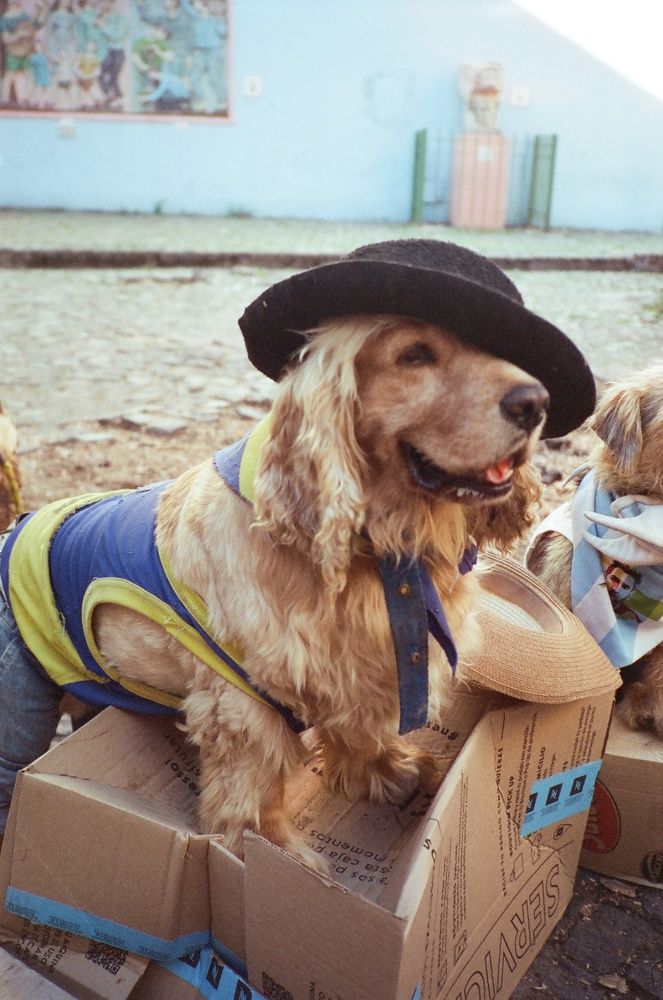 Photograph by Marina Zvada