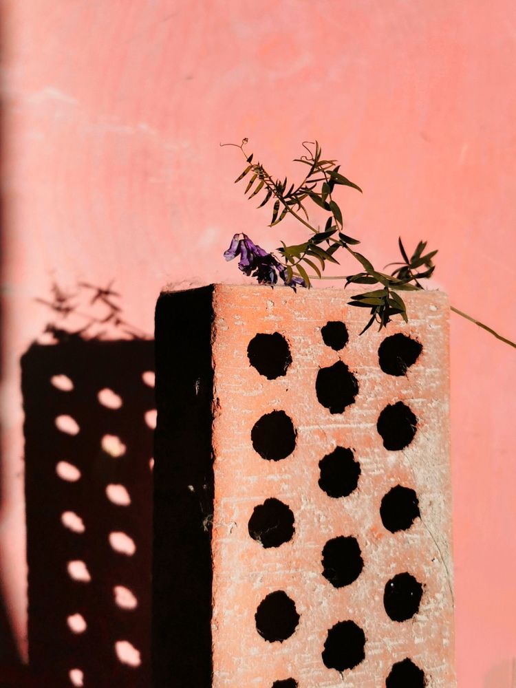 Photograph by Алина