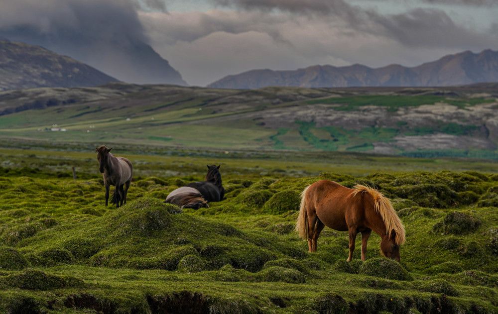 Photograph by Normunds