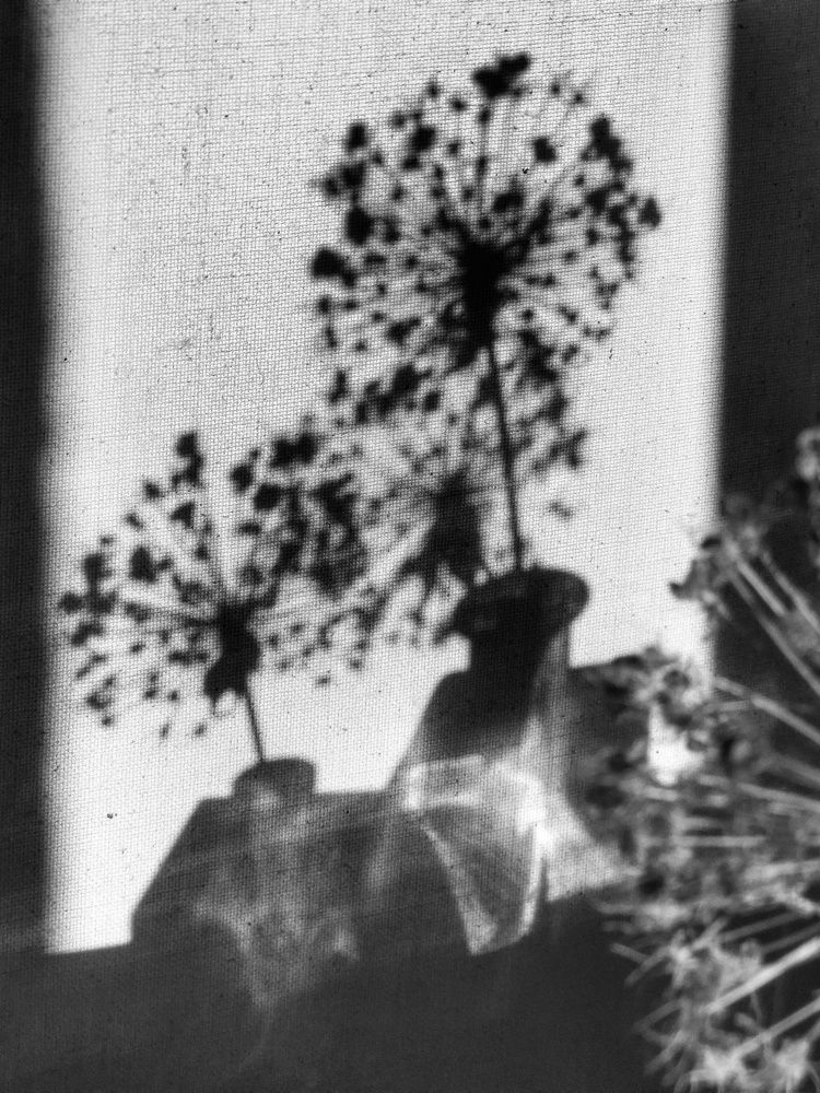 Photograph by Angelica Medvedeva